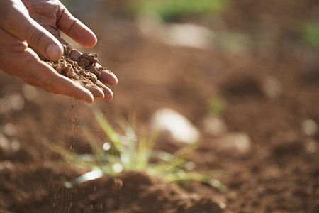 Un repaso por los alimentos de calidad de nuestro país