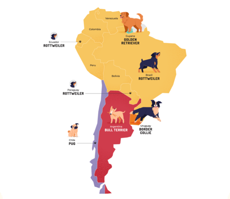 América del sur