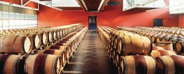 Organiza tu visita a una bodega