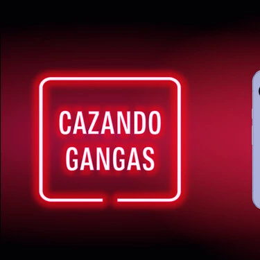 Cazando Gangas