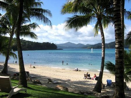 El mejor trabajo del mundo en una isla australiana