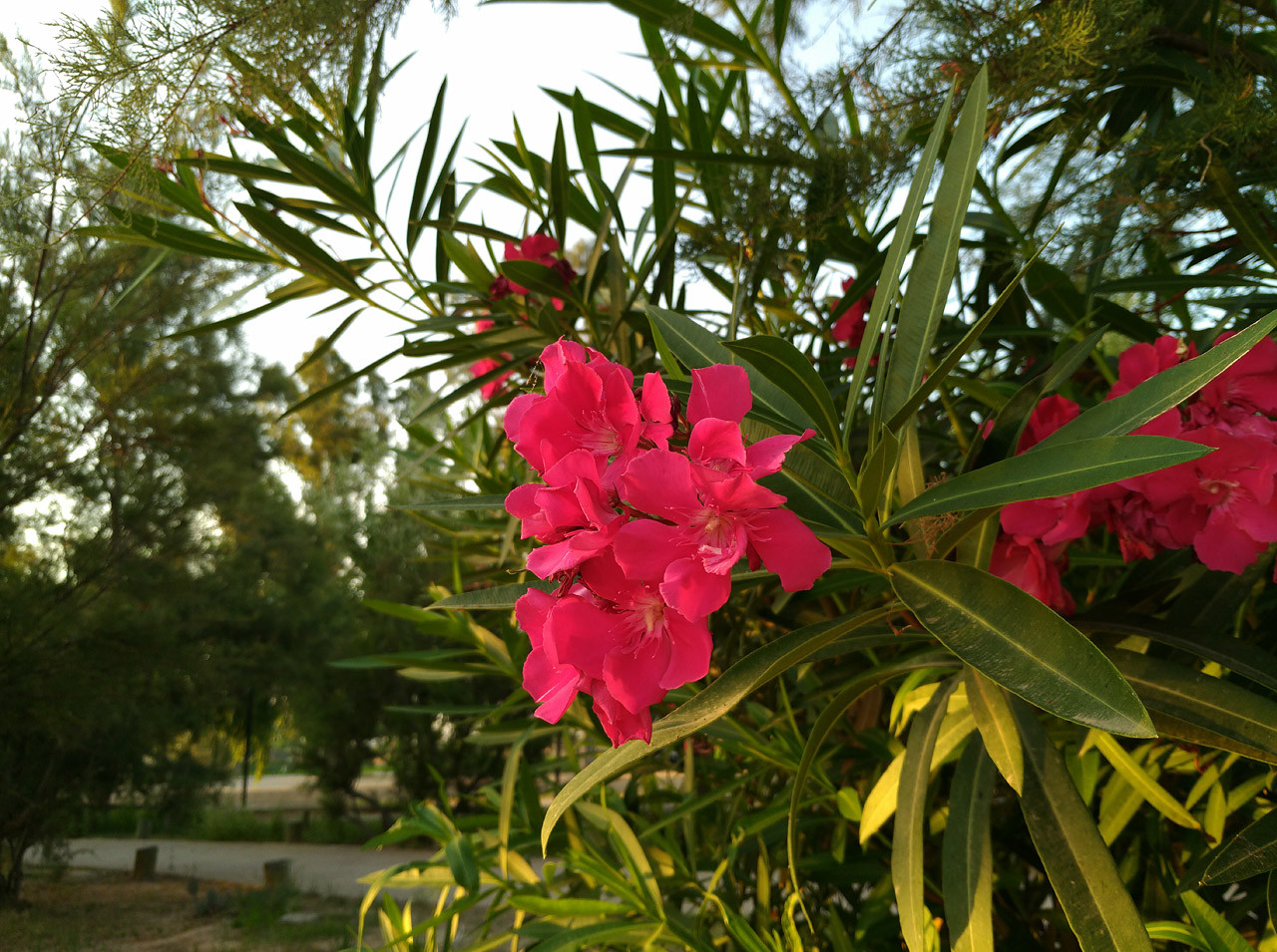 Foto de ASUS ZenFone AR (34/34)