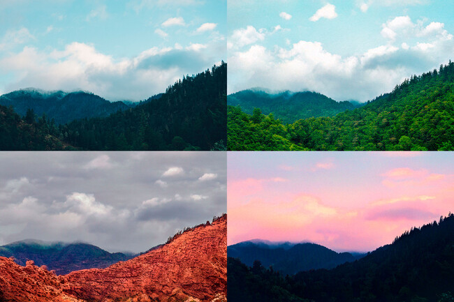 Neural Filter Photoshop