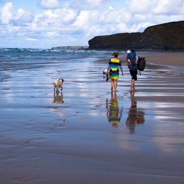 ¿Qué hago con mi perro en vacaciones? 