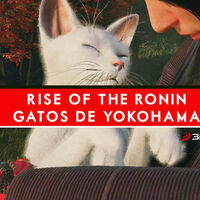 Rise of the Ronin | Dónde encontrar todos los gatos del área de Yokohama