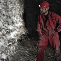 La telaraña más grande del mundo ha sido descubierta en una cueva: mide 106 metros cuadrados y alberga más de 111.000 arañas