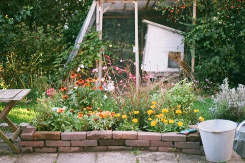 jardín