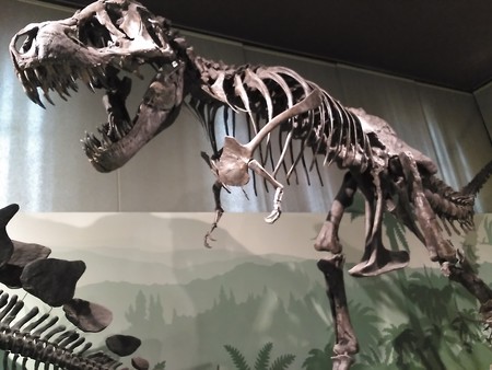 Museo Civico Storia Naturale Milano