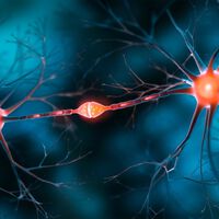 Por que sentimos dor? Estudo genético aponta que nossa sensibilidade à dor pode ter vindo dos neandertais 