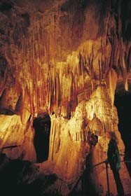 Las cuevas más antiguas del mundo en Sydney