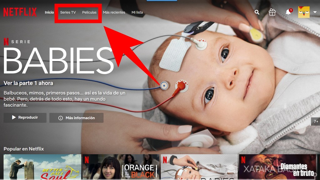 Cómo ver el Top 10 de películas o series más vistas del día en Netflix