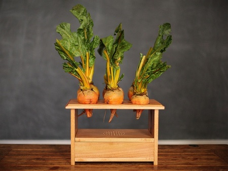 Una caja de ritmos perfecta para animar vuestra cocina