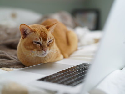 22 sitios web inútiles pero perfectos para procrastinar cuando estás aburrido