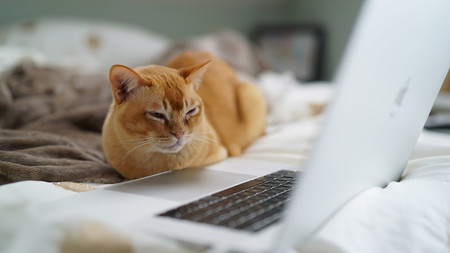 22 sitios web inútiles pero perfectos para procrastinar cuando estás aburrido