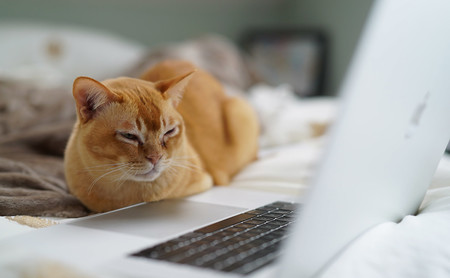 22 sitios web inútiles pero perfectos para procrastinar cuando estás aburrido