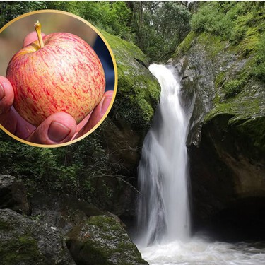 Este rincón de Oaxaca es conocido como el "paraíso de la manzana": ideal para escapar del calor y tomar pulque