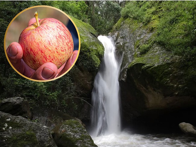 Este rincón de Oaxaca es conocido como el "paraíso de la manzana": conquista por sus espectaculares cascadas y maravillas naturales