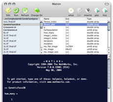 Matron, pon MATLAB en tu Mac