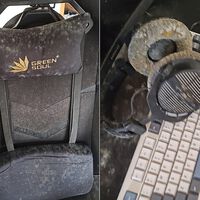 The Last of Us na vida real: jogador de PC volta para casa depois de um mês e encontra todo seu setup tomado por fungos 