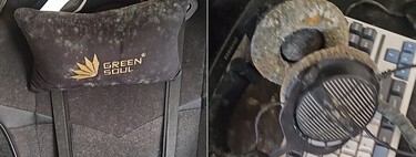 The Last of Us na vida real: jogador de PC volta para casa depois de um mês e encontra todo seu setup tomado por fungos 