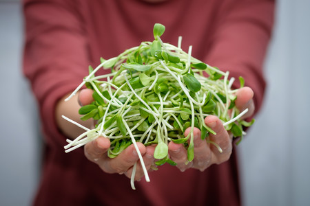Qué son los germinados, cuáles son sus beneficios y cómo podemos hacerlos en nuestra propia casa