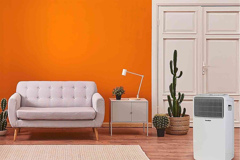 Temperatures Rise In The First Heat Wave Of The Year, And Lidl Plummets