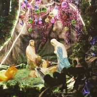 Villancicos de Navidad para niños: Mi burrito sabanero