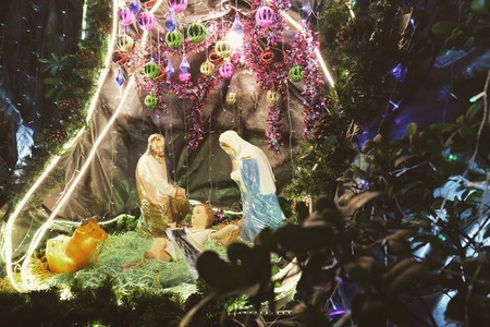 Villancicos de Navidad para niños: Mi burrito sabanero
