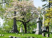 Visita al Cementerio de Woodlawn, en Nueva York