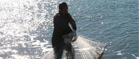 Nuestra relación con el mar, la mar, los océanos