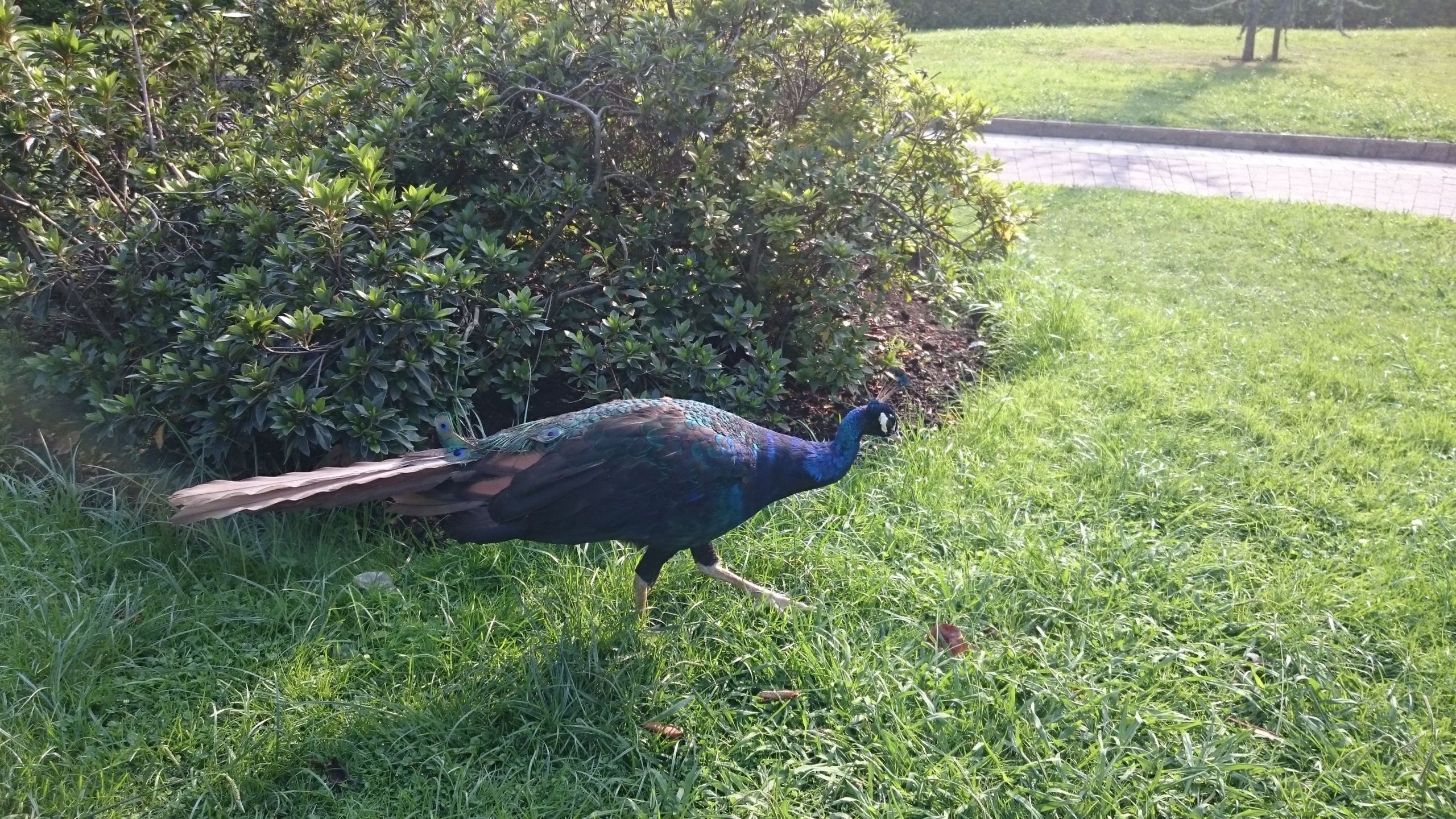 Foto de Xperia Z3 Compact, muestras (6/9)