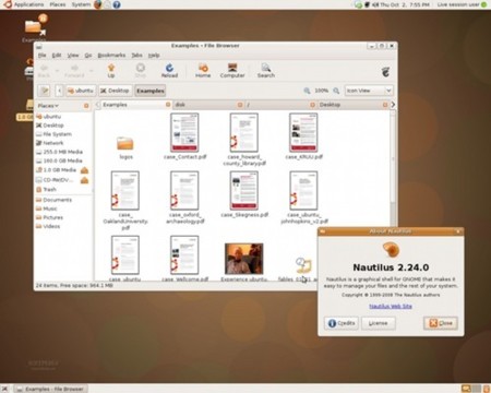 Ubuntu 8.10 Intrepid Ibex Beta