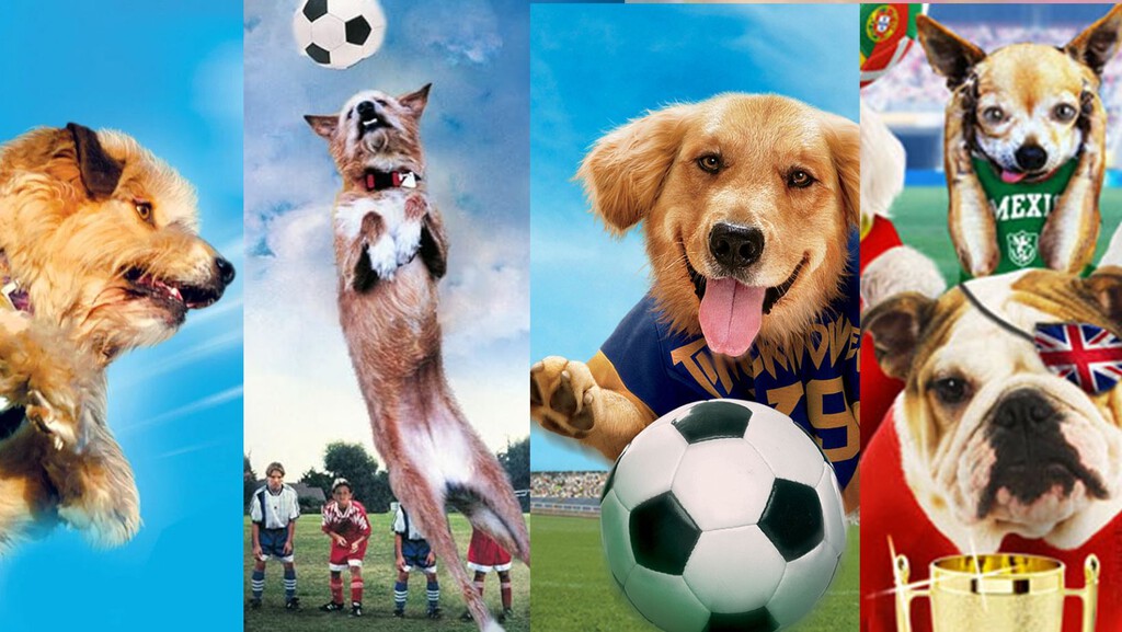 Las 5 películas de perros jugando al fútbol para ver en los descansos del Mundial: un subgénero tan malo que me ha fascinado
