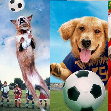 Futbol Perros