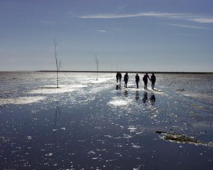 waddensea.jpg