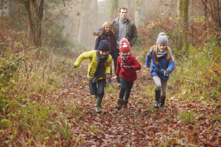 11 paseos de invierno en familia
