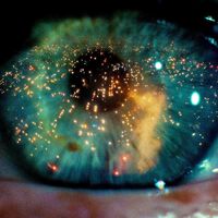 Los científicos afirman que es la mejor película de ciencia ficción de la historia: "Se adelantó muchísimo a su tiempo" 