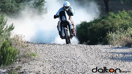 Os presentamos al Dalton Team