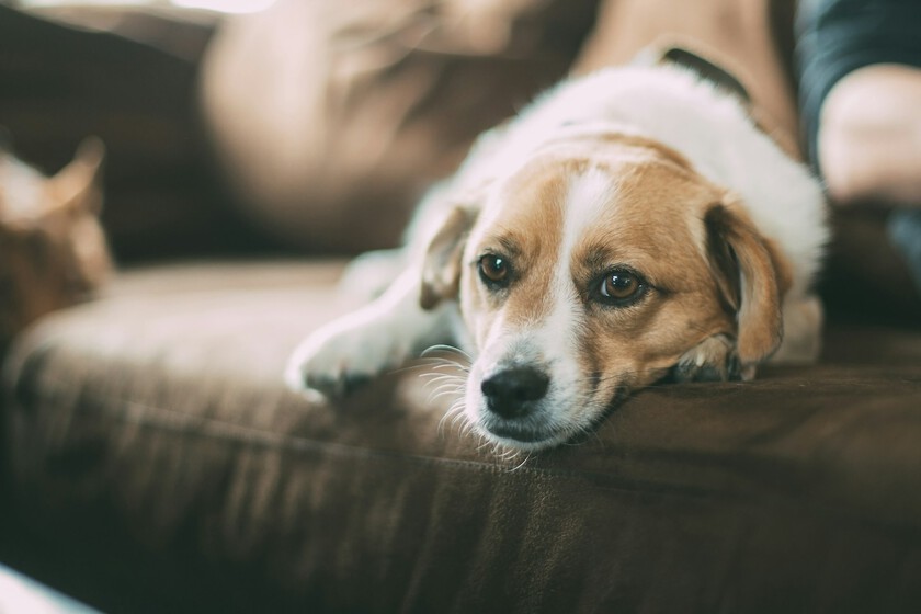 Robert Larsson Tkwzp Frzl4 Unsplash