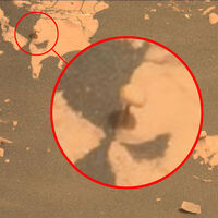 Qué es la "seta" de Marte que ha descubierto el rover Perseverance de la NASA