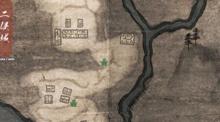 Farmeo De Amrita Ejemplo