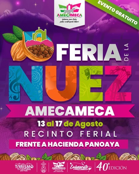 No te pierdas el Festival de la Nuez de Castilla 2025: el lugar ideal para conseguir el ingrediente estrella del chile en nogada