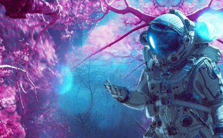 Si buscas el wallpaper perfecto echa un vistazo a la hermosa colección 2020 de fondos 4K en Desktopography