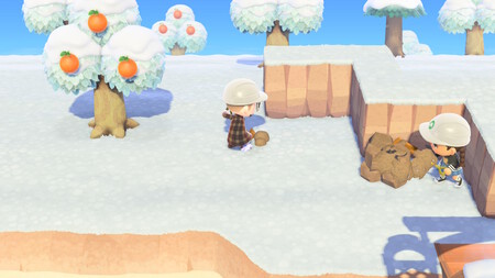 Animal Crossing Nh 30 12