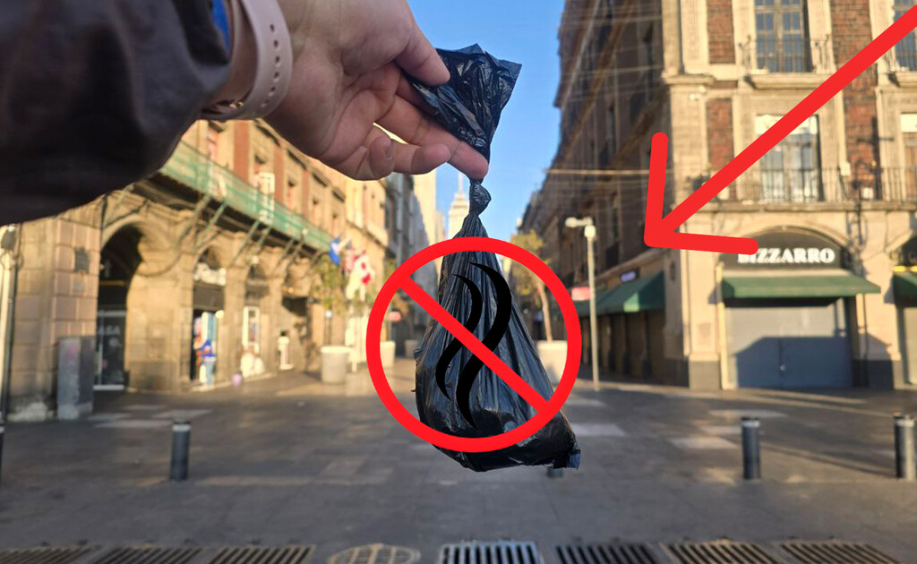 Casi nadie lo sabe, pero esta es la manera correcta de deshacerte de las heces de tus perros . Noticias en tiempo real