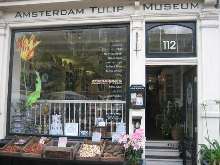 Tulip Museum Amsterdam