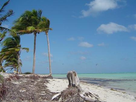 Cayo Guillermo