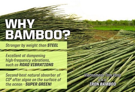 Bambú en bicicletas