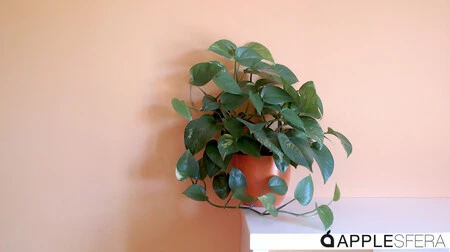 StreamCamで撮った写真