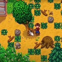 Stardew Valley, cómo aumentar las habilidades de recolección 